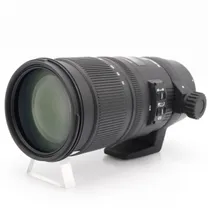 sigma-70-200mm-f-2-8-apo-ex-dg-os-hsm-canon.jpg