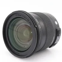 sigma-17-70mm-f-2-8-4-0-dc-macro-contempora.jpg