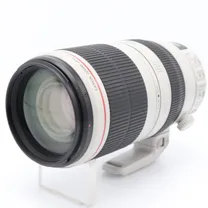 canon-ef-100-400mm-f-4-5-5-6-l-is-usm-ii-dr.jpg