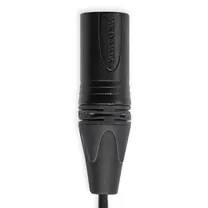 tentacle-to-xlr-cable.jpg