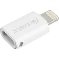 Fontastic-Lightning-Compatible-Adapter_1.jpg
