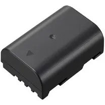 panasonic-dmw-blf19e.jpg