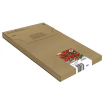 epson-easymail503-jpg.jpg