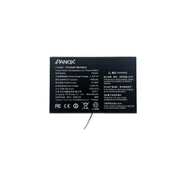 labpano-1600mah-polymer-battery-for-panox-v.jpg