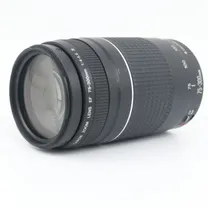 canon-ef-75-300mm-f-4-5-6-iii-occasion.jpg