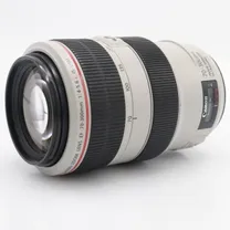 canon-ef-70-300mm-f-4-0-5-6-l-is-usm-occasi.jpg