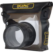 dicapac-wp-s3.jpg