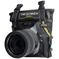 dicapac-wp-s5-1.jpg