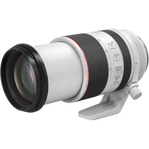 Canon RF 70-200mm F2.8L IS USM 4.jpg