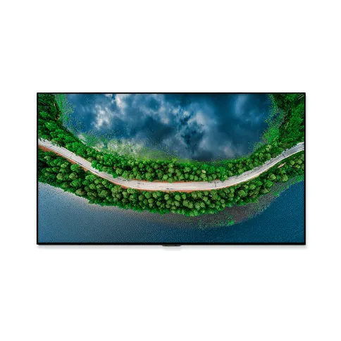LG OLED55GX6LA (1).png