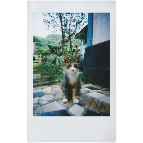 Lomography-Instant-Lenses-Boston_8.jpg