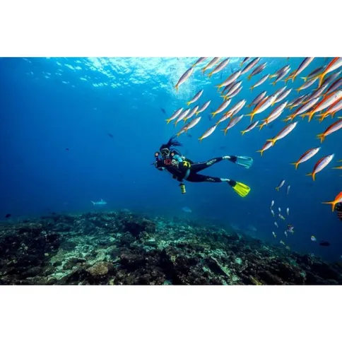 SeaLife-Sea-Dragon-Duo-10K-Color-Boost-set_7.jpg