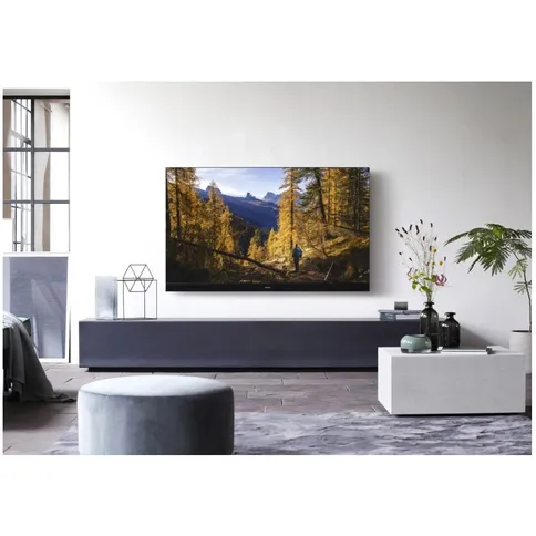 Panasonic_OLED_TX-65HZW2004_foto5.jpg