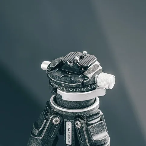 12461254_3.jpg