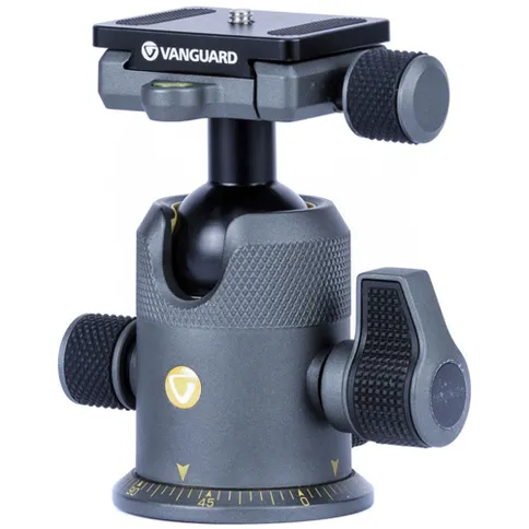 Vanguard_AltaBH250_Balhoofd_foto2.JPG