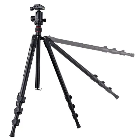 dorr_pb-180-8.jpg