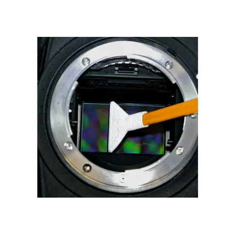 dhap-2.jpg