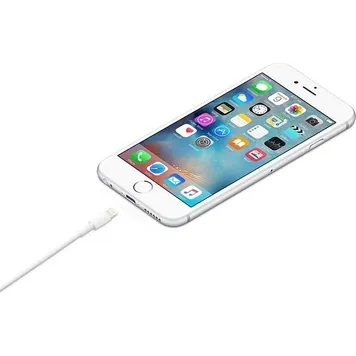 Apple-2meter-2.jpg