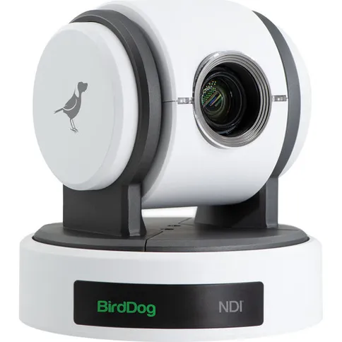 birddog_camera1.jpg