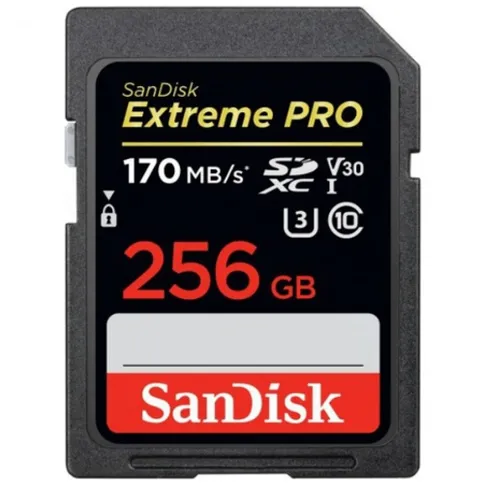 SanDisk_ExtremePro_256GBSDXC_170MBs_UHS-I.jpg