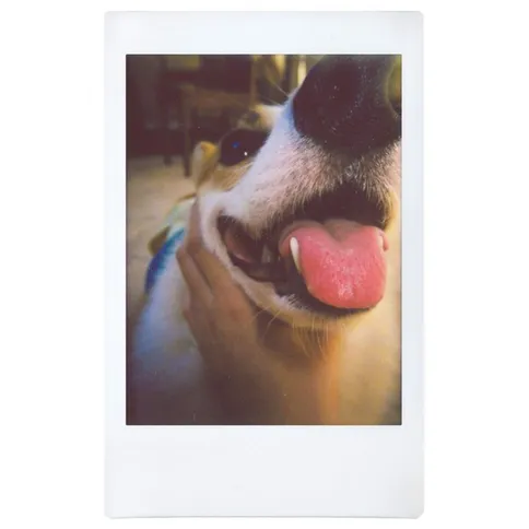 Lomography-Instant-Automat-Glass-Ema-Edition_6.jpg