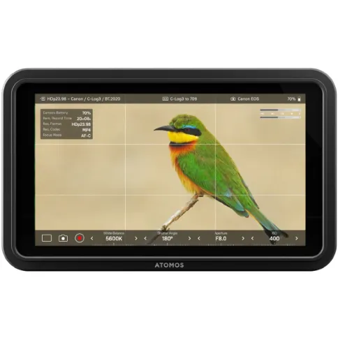 Atomos_ShinobiII_foto2.webp