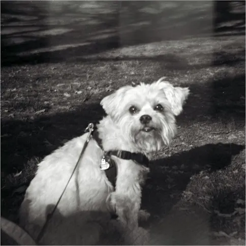Lomography-Mod-No-1_4.jpg