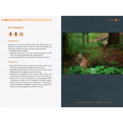 Book-workshop-naturfotografie-vor-der-eigenen-haustur-radomir-jakubowski-3.jpg