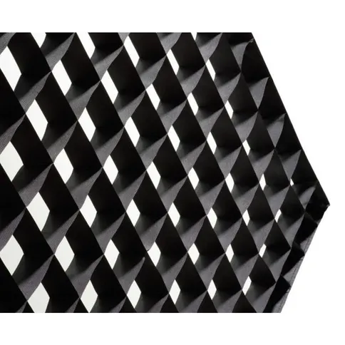 Broncolor-Licht-grid-40-graden-voor-Beautybox-65_1.jpg