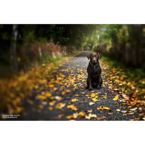 lensbaby_composer_proii_edge50_nikonZ-1.jpg