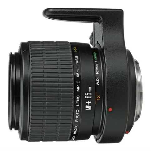 CANON_MP-E_65MM_F28_SUPERMACRO.jpg