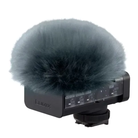 5_Panasonic_lumixs9.jpg