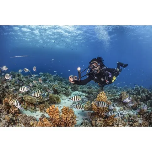 SeaLife-Sea-Dragon-2300F-Photo-Video-Light-Kit-incl-Grip-Single-Tray-Case_7.jpg
