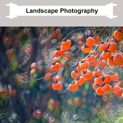 Kase-Reflex-Lens-200mm-5-6-Fuji-G_4.jpg