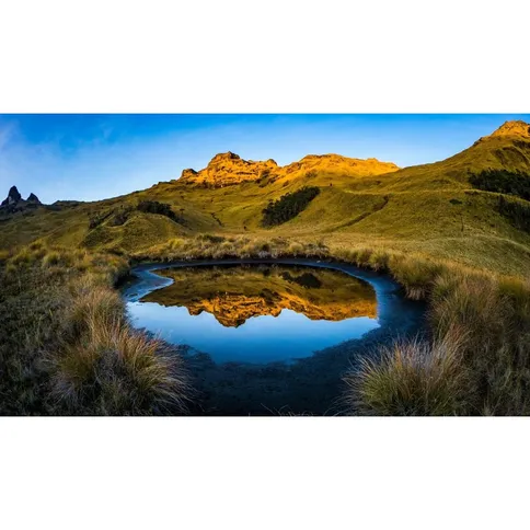 8mm_fisheye_OM_SYSTEM_2.jpg