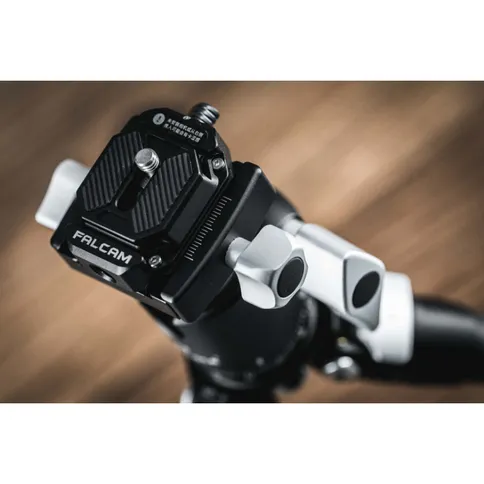 Falcam-2268_9.jpg