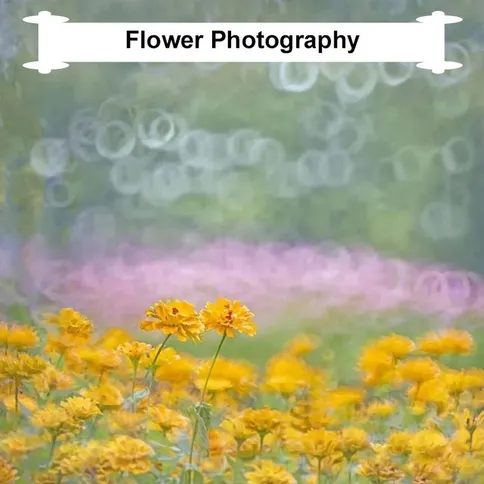 Kase-Reflex-Lens-200mm-5-6-Nikon-Z_3.jpg
