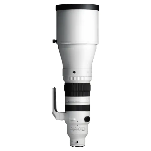 Sigma-300-600mm-f4-DG-OG-sports_06.webp