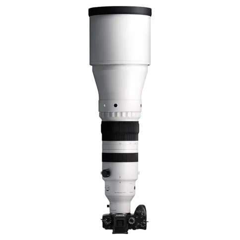 Sigma-300-600mm-f4-DG-OG-sports_13.webp