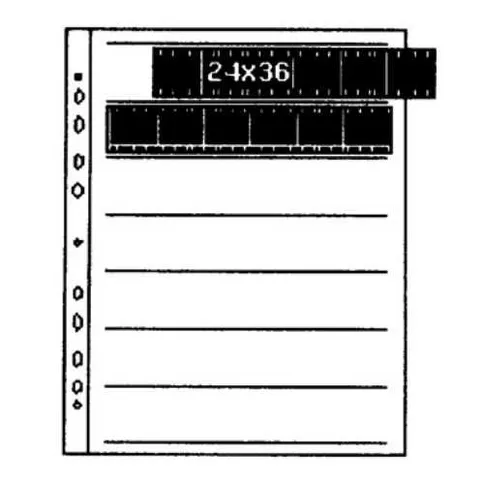 12237681_1.jpg