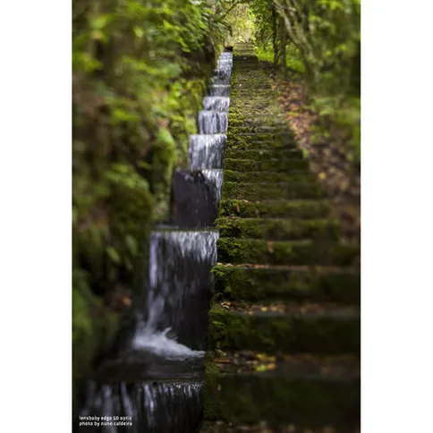 lensbaby_composer_proii_edge50_nikonZ-3.jpg