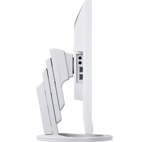 wit-5.png