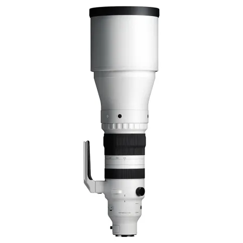 Sigma-300-600mm-f4-DG-OG-sports_05.webp