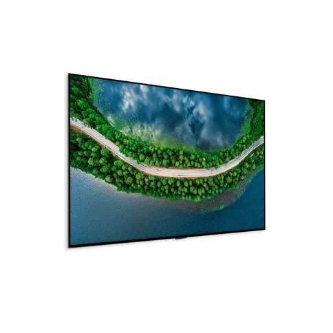 LG OLED55GX6LA 2 (1).png