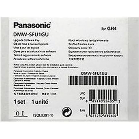 pana-5.jpg