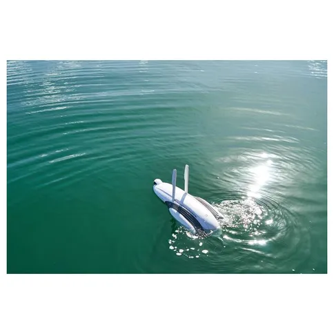 PowerVision _PowerDolphin_Wizard8.JPG