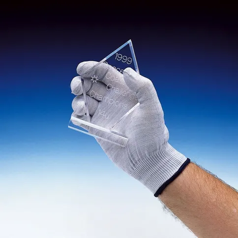 Kaiser-Kinetronics-antistatische-handschoenen-ASG-S-small_3.jpg