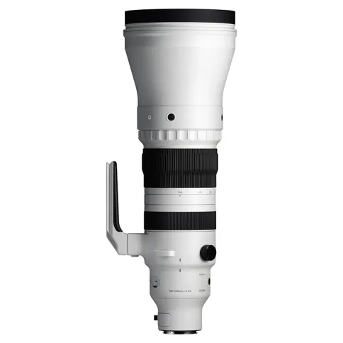 Sigma-300-600mm-f4-DG-OG-sports_03.webp