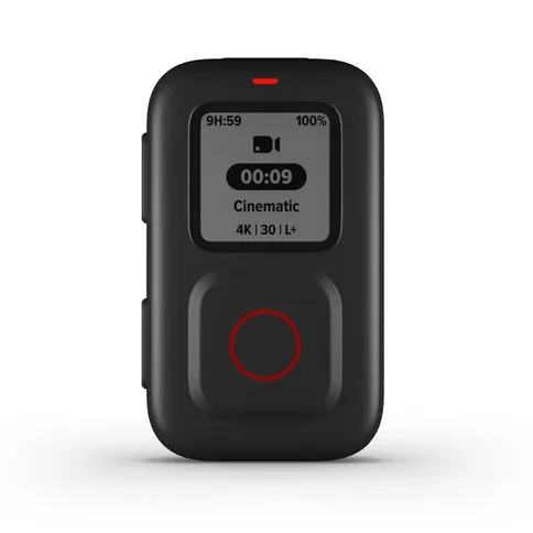 GoPro-The-Remote-HERO9_HERO8_MAX_1.jpg