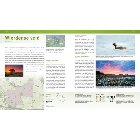 wierdense veld (Medium).jpg